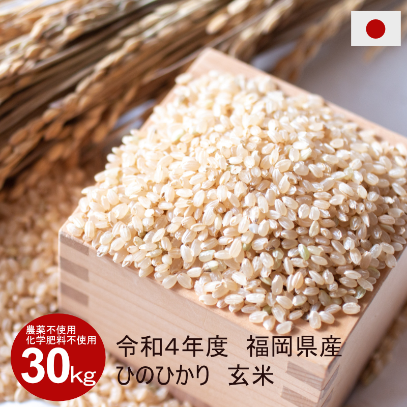 農薬不使用  化学肥料不使用 無農薬 自然栽培 ヒノヒカリ 大粒 玄米